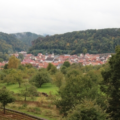 In der Pfalz (4)
